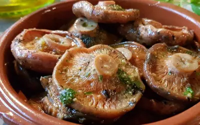 Rebollón o Níscalo en Aragón