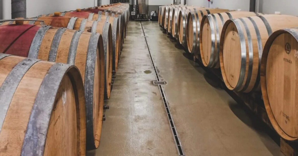 Visite alle Cantine da Saragozza