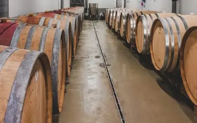 Visita Bodegas desde Zaragoza